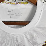 2023 AIK Solna 132th Anniversary Edition Fans Jersey AIK索尔纳