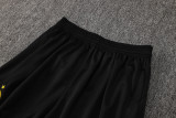 2025/26 BVB  Black Training Jersey(A Set)