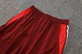 2024/25 Internacional Red Vest Training Jersey(A Set)
