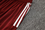 2024/25 Internacional Red Vest Training Jersey(A Set)