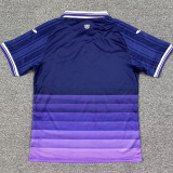 2025/26 RSC Anderlecht Home Fans Soccer Jersey 安德莱赫特