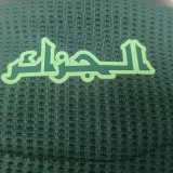 2025 Algeria Away Green Player Version Jersey