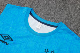 2024/25 Grêmio Blue Vest Training Jersey(A Set)