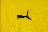 2025/26 BVB  Yellow Training Jersey(A Set)