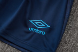 2024/25 Grêmio Blue Vest Training Jersey(A Set)