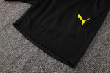 2025/26 BVB  Black Training Jersey(A Set)