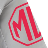 2025/26 Lyon Third Player Version Soccer Jersey