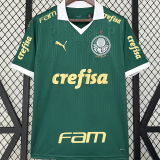 2024/25 Palmeiras 1:1 Quality Home Fans Jersey  (All Sponsor 全广告)
