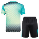 2025  South Korea Lake Blue Training Jersey(A Set)
