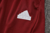 2024/25  Flamengo Light Grey Training Tracksuit