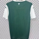 2025/26 Hibernian Green Fans Jersey 苏超  希伯尼安
