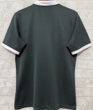2025 The British & Irish Lions Rugby Shirt 红狮子