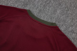 2025/26  Fluminense Red Training Jersey(A Set)