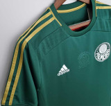 2014/15 Palmeiras Home Centenary Green Retro Jersey
