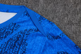 2025/26 France Training Jersey(A Set)