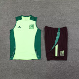 2025 Mexico Light Green Vest Training Jersey(A Set)