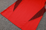 2024/25 Internacional Red Vest Training Jersey(A Set)