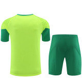 2024/25 Palmeiras Yellow Training Tracksuit