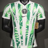 2025/26 Nigeria Home Player Version Soccer Jersey