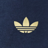 2024/25 Argentina Sapphire Blue Hoody