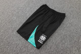 2025  South Korea Lake Blue Training Jersey(A Set)