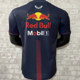 2023/24 Red Bull Racing Black F1 Team T-Shirt ( 圆领)