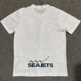 2025/26 AEK Athens Third Fans Soccer Jersey 雅典AEK