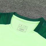 2025 Mexico Light Green Vest Training Jersey(A Set)
