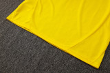 2025/26 BVB  Yellow Training Jersey(A Set)