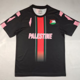2025/26 FC Palestine Special Edition Fans Soccer Jersey  英文 背后带11