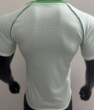 2025/26 Celtic Origin Version Player Version Soccer Jersey