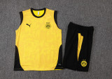 2026 BVB Yellow Vest Training Jersey (A Set)