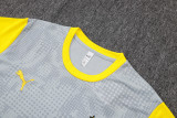2026 BVB Grey Yellow Training Jersey(A Set)