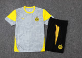 2026 BVB Grey Yellow Training Jersey(A Set)
