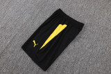 2026 BVB Yellow Vest Training Jersey (A Set)