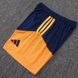 2026 AD Light Blue Training Jersey (A Set)