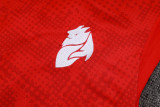2026/27 AC Red Vest Training Jersey(A Set)