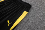 2026/27 BVB Light Gray Sweater Tracksuit