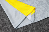 2026/27 BVB Light Gray Sweater Tracksuit