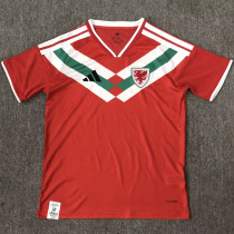 2026/27 Wales Special Edition Fans Soccer Jersey