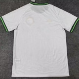 2026/27 Celtic Commemorative Edition Fans Soccer Jersey