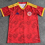 2026/27 Colombia Special Edition Fans Soccer Jersey