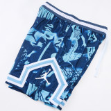 C2524 Jordan Casual Short Pants 夕阳蓝