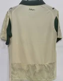 2025/26 Palmeiras Third Fans Soccer Jersey