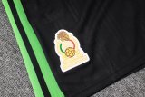 2026/27 Mexico Green Training Jersey (A Set)