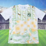 2026/27 Ivory Coast Away Fans Soccer Jersey (Have Right Patch 有右臂章 黑底白字）