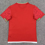 2026/27 Iran Away Red Fans Soccer Jersey