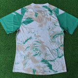 2026/27 Algeria Special Edition Player Version Soccer Jersey