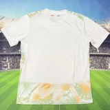 2026/27 Ivory Coast Away Fans Soccer Jersey