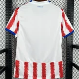 2026/27 Paraguay Home Red White Fans Soccer Jersey